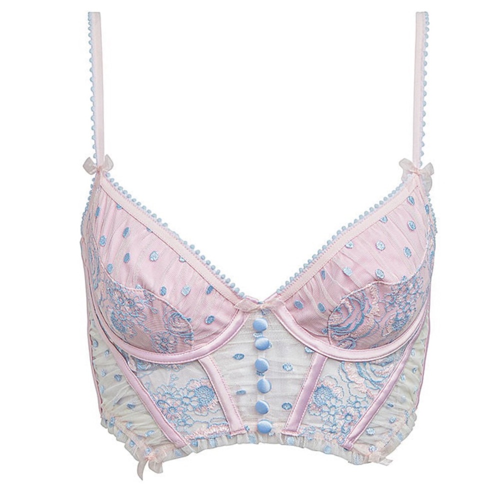 For Love and Lemons Bustier